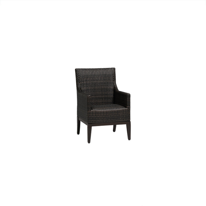 Biltmore Dining Arm Chair - Zzue Creation