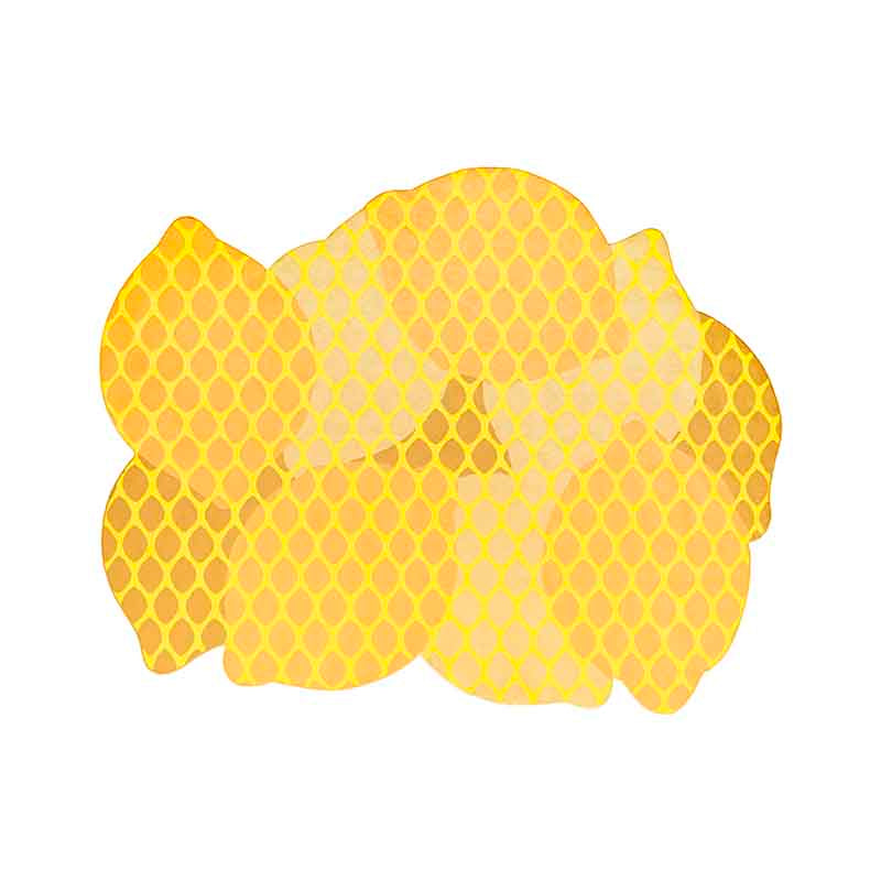 Citrus Lemon - Zzue Creation