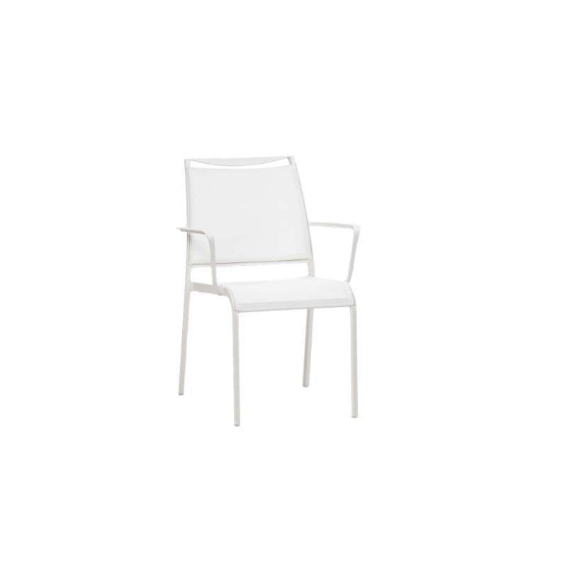 Como Dining Arm Chair - Zzue Creation