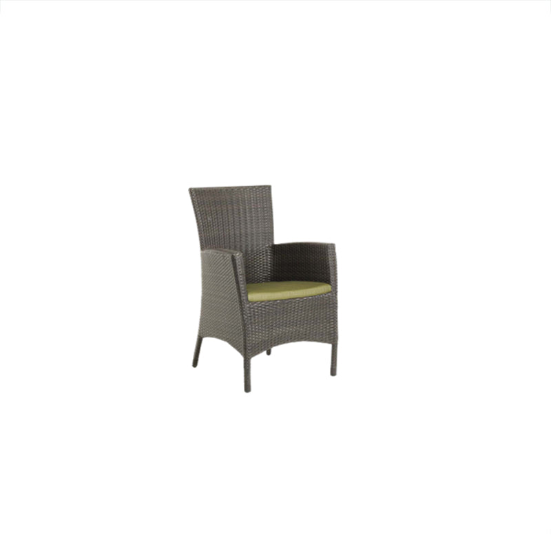 Palm Harbor Dining Arm Chair - Zzue Creation