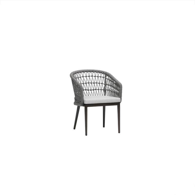Poinciana Dining Arm Chair - Zzue Creation