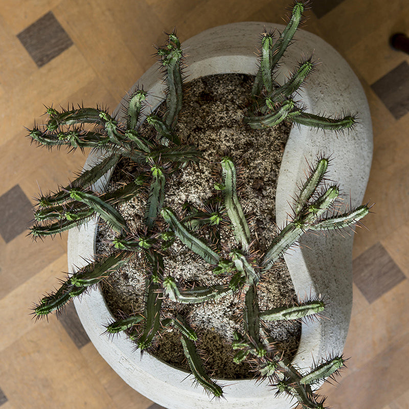 EM Series Planter - Zzue Creation
