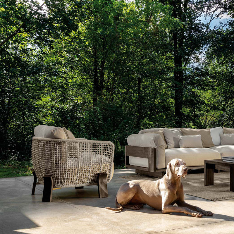 Argo Wood Living Armchair - Zzue Creation