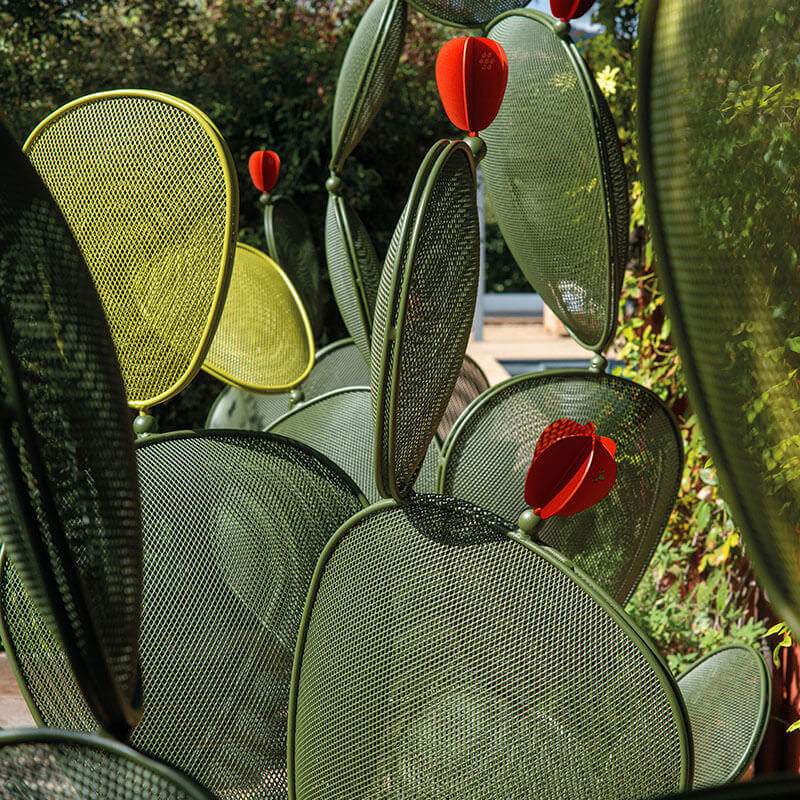 Ficus Jolly Leaf - Zzue Creation
