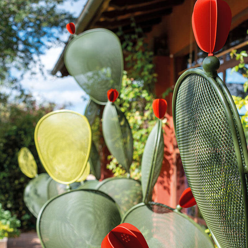 Ficus Jolly Leaf - Zzue Creation
