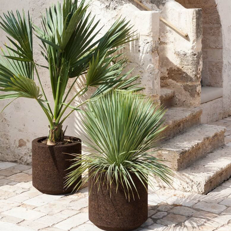 Cortica Planter - Zzue Creation