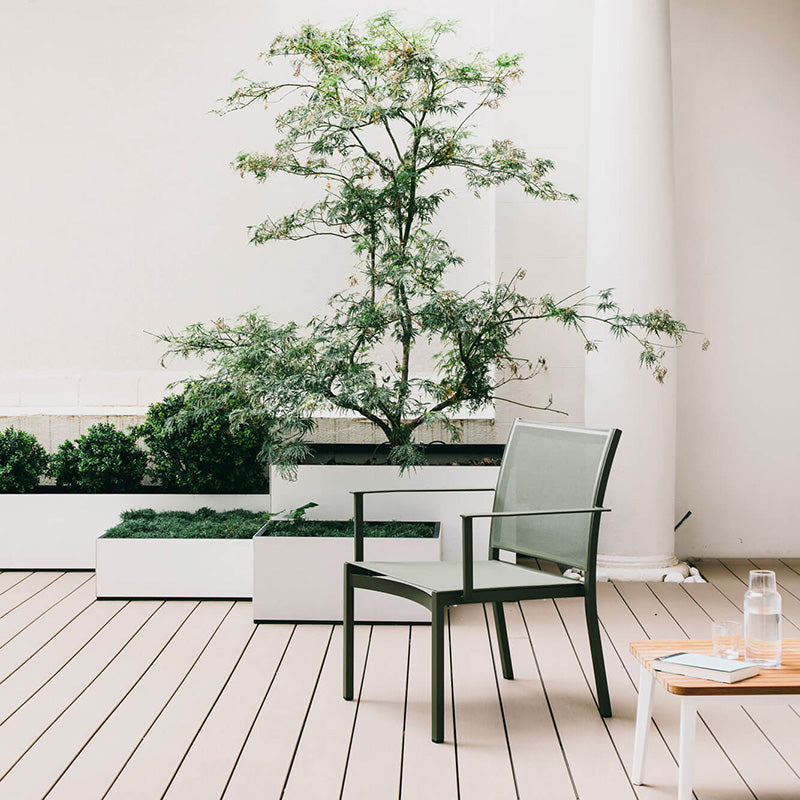 Basics Dining Armchair Everyday - Zzue Creation
